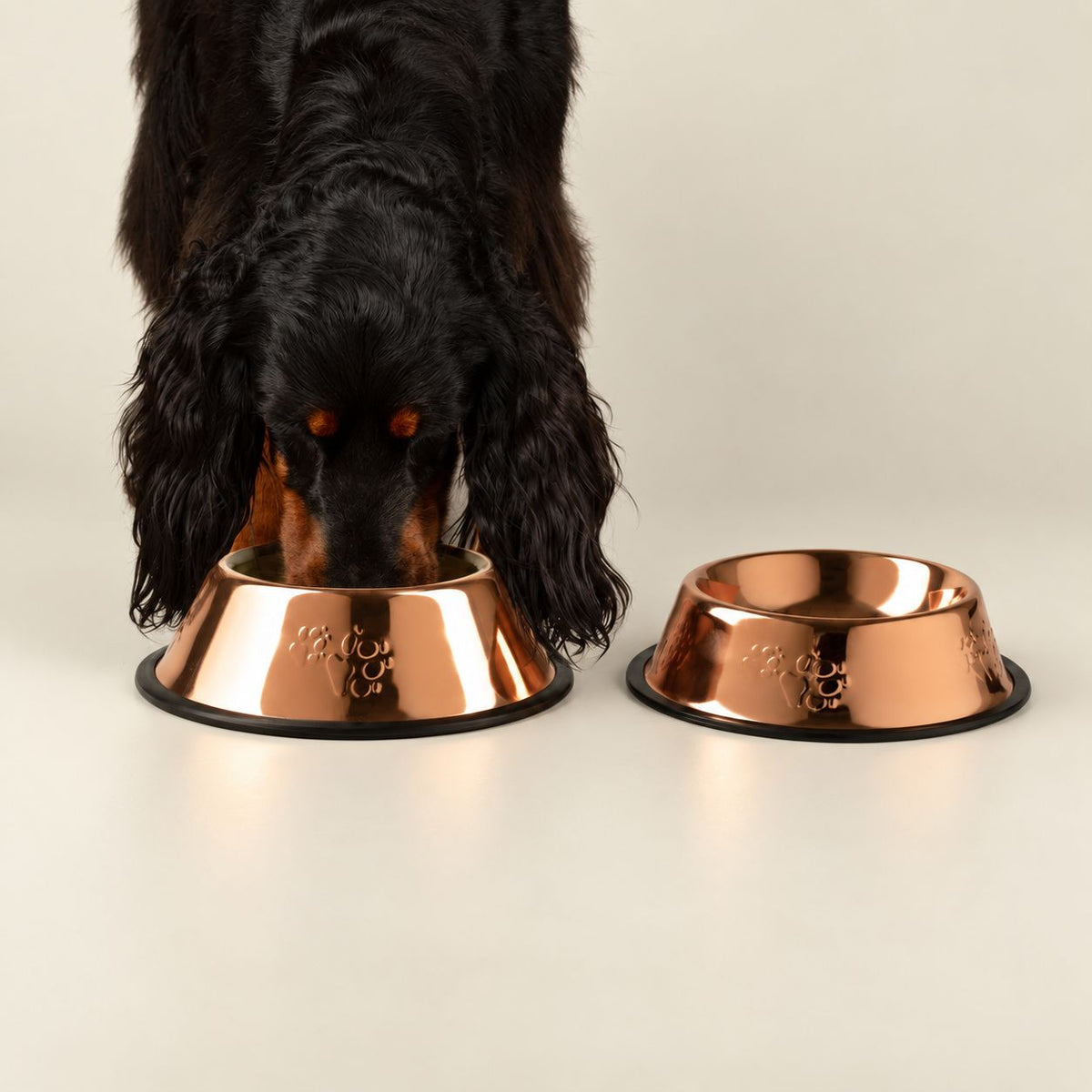 PAW Food Bowls - Single Copper Style - 22cm - Stainless Steel (304)