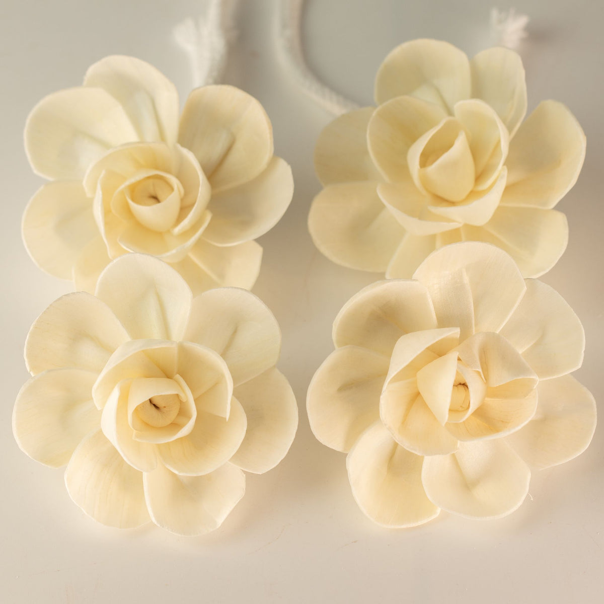 Natural Diffuser Flowers – Large Lotus on String