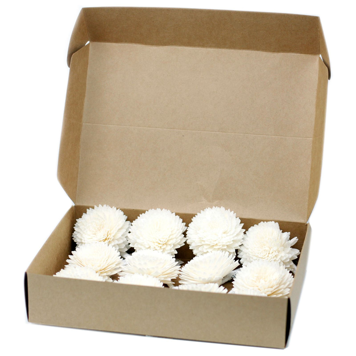 Natural Diffuser Flowers – Large Carnation on String