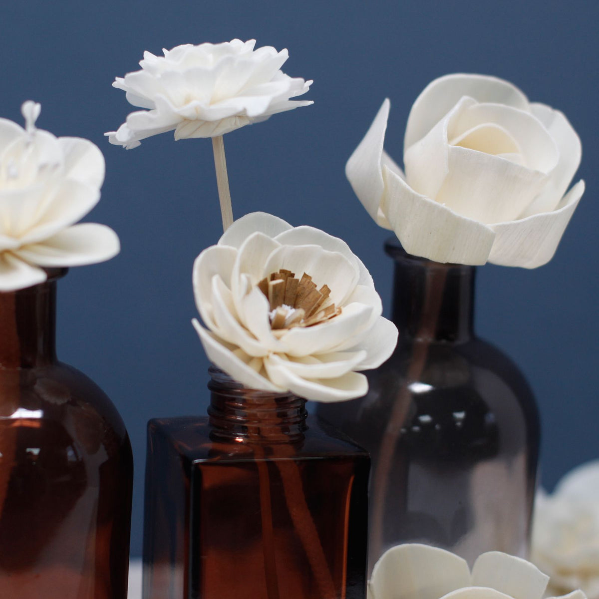 Natural Diffuser Flowers – Carnation on Reed