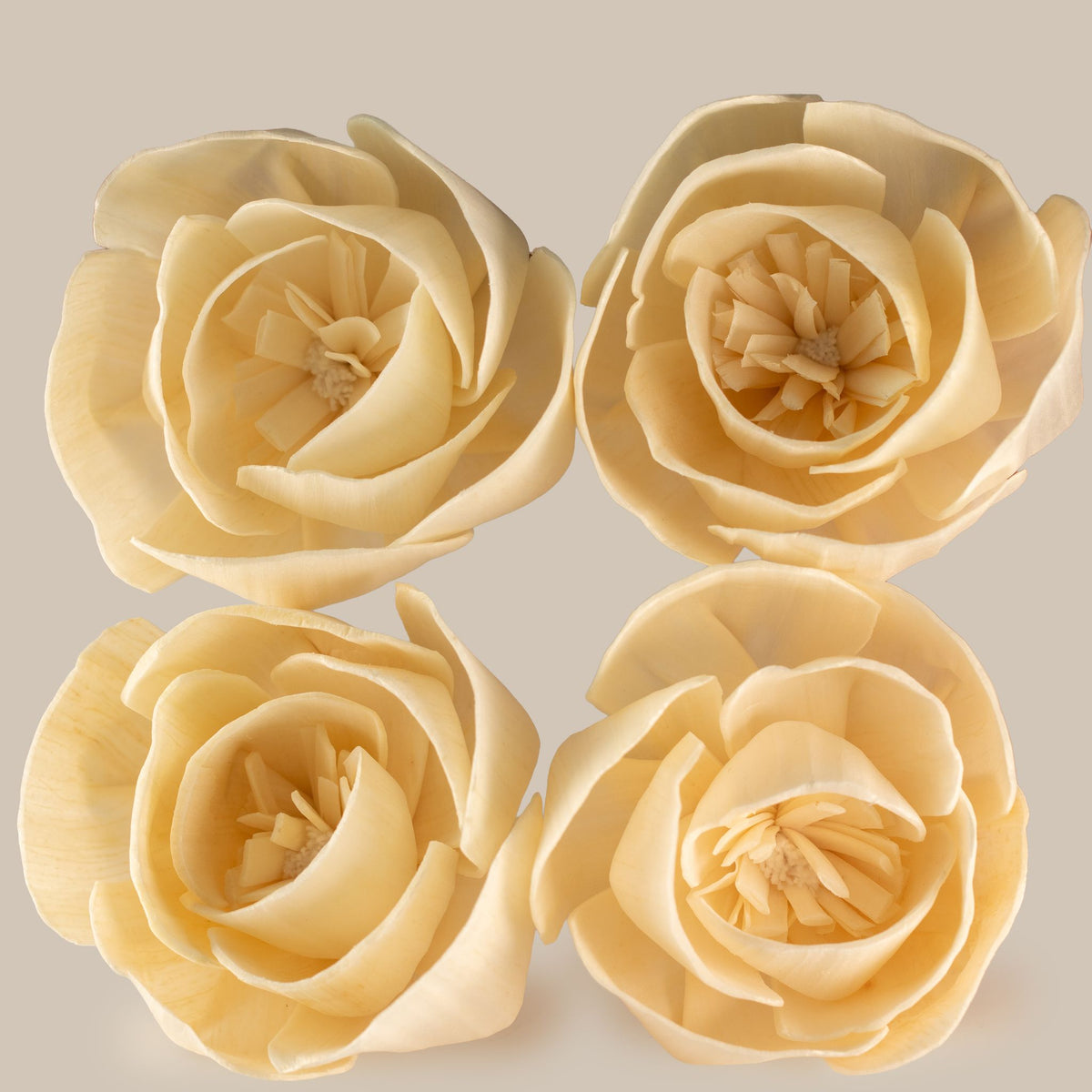 Natural Diffuser Flowers – Large Rose on String
